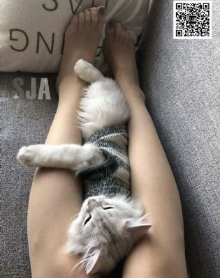 567记忆碎片免费观看完整版