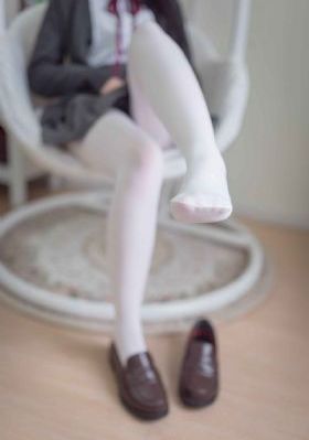 细狗网页版