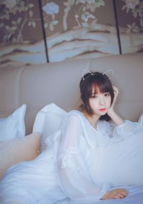 向着炮火前进 电视剧全集